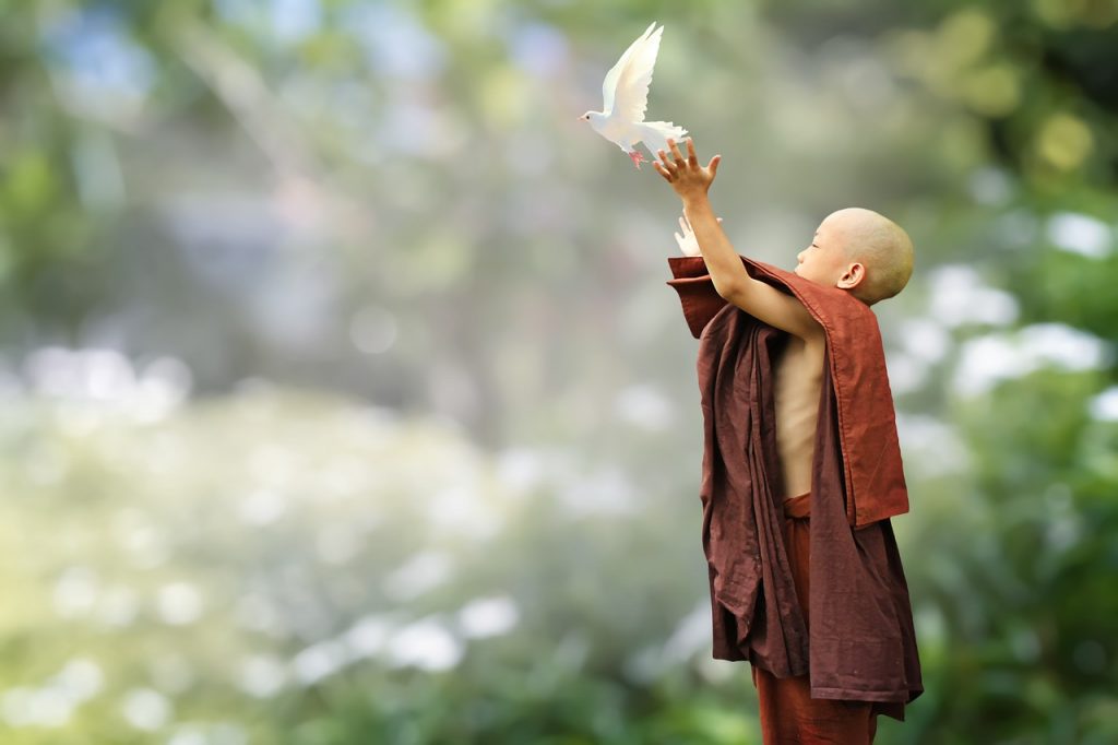buddhist, monk, novice-5843719.jpg